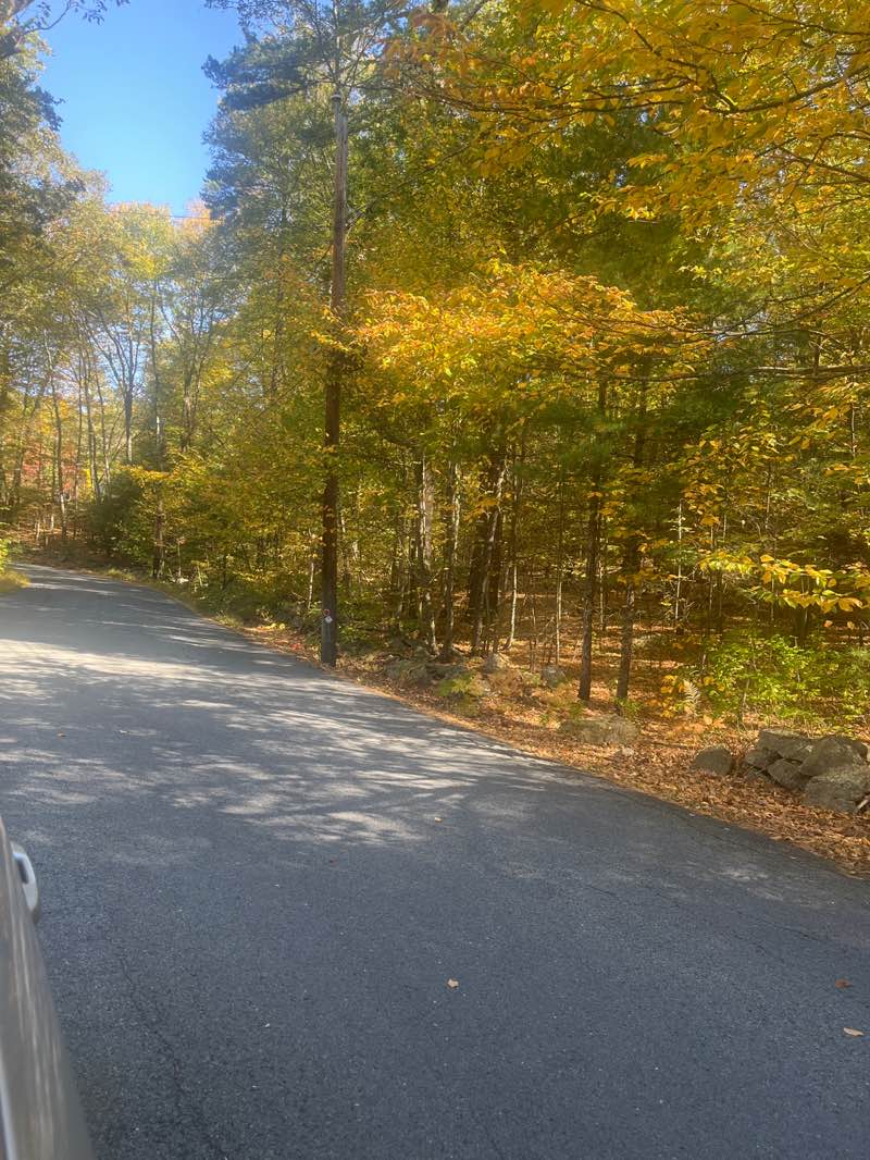 walking near me in Phipps Woods in autumn