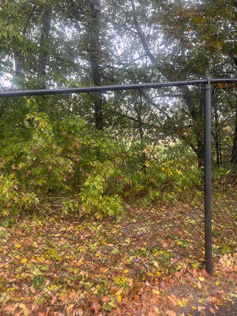 walking near me in Roberto Clemente Playground in autumn