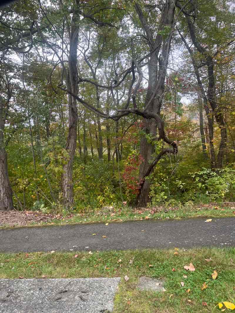 walking near me in Pratt Farm Playground in autumn