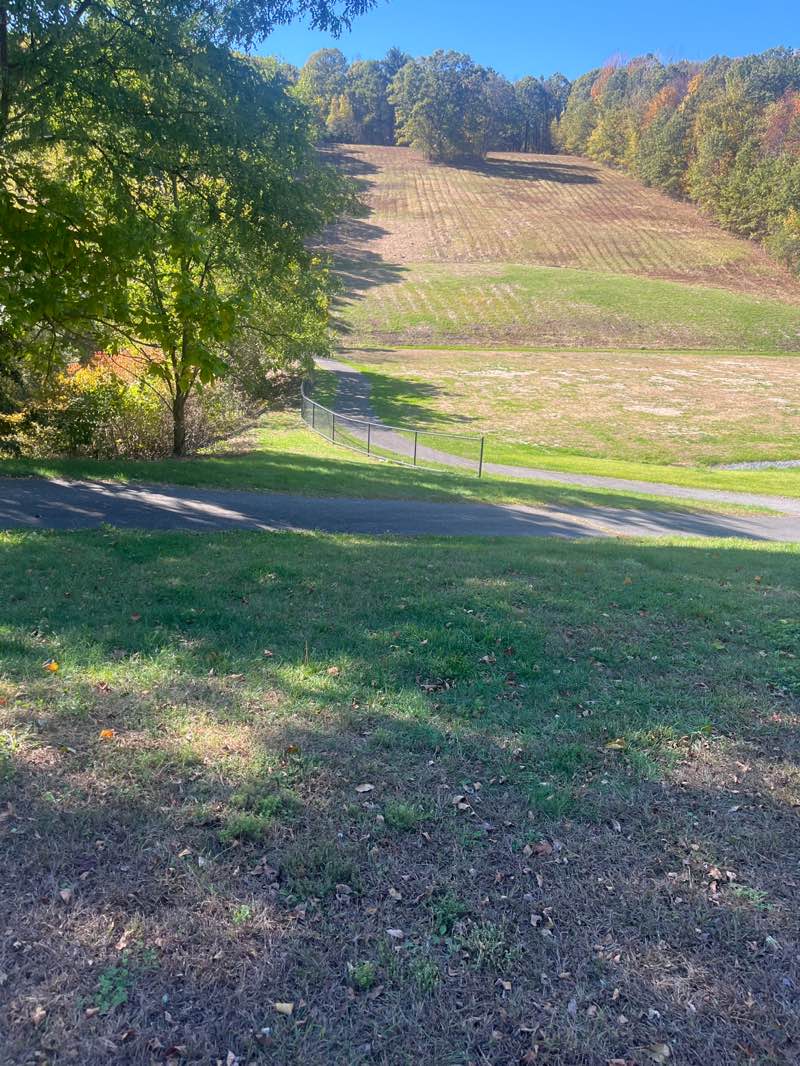 walking near me in Jericho Hill in autumn
