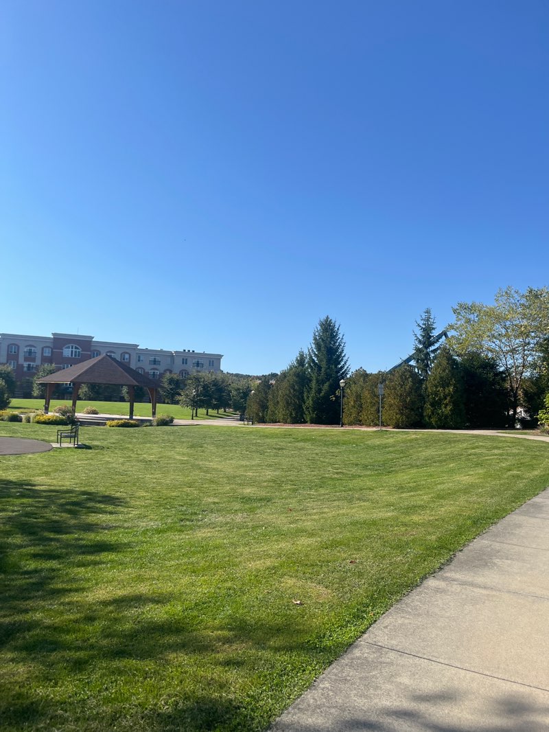 walking near me in Bay State Green in autumn