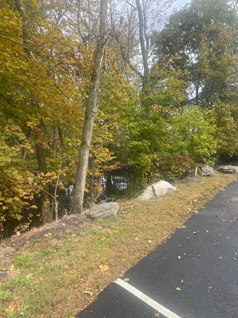 walking near me in Whitney Park in autumn