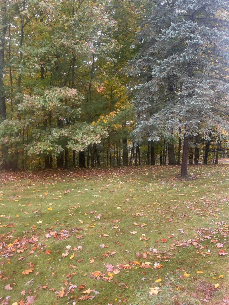 walking near me in Rogers Fields in autumn