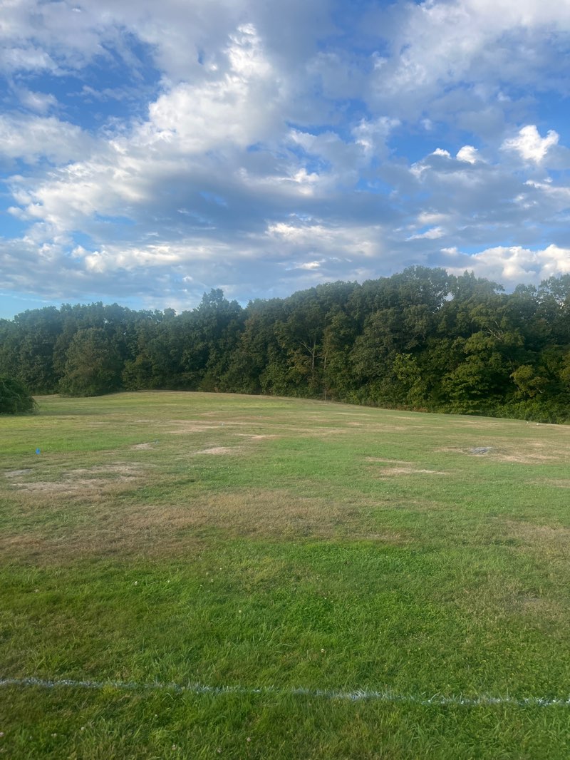 walking near me in Veterans Freedom Park in autumn
