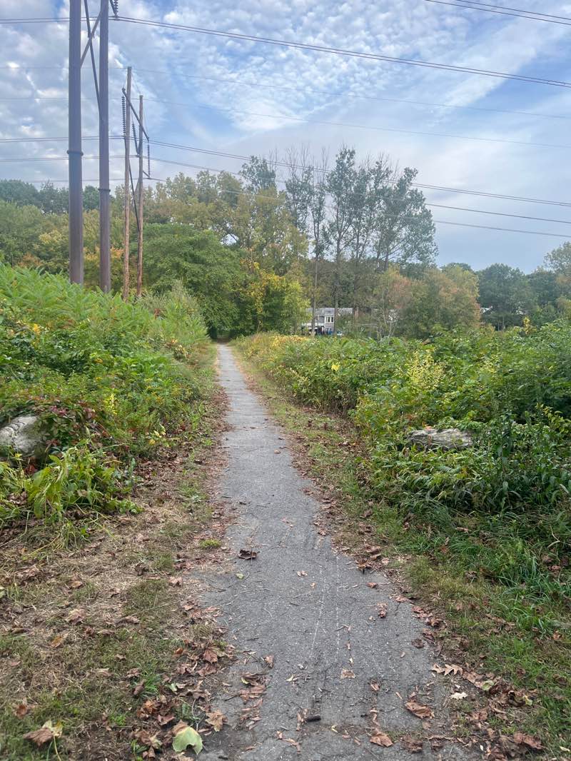 walking near me in Rotary Park in autumn