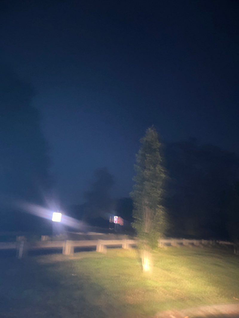 walking near me in Dean Park in autumn