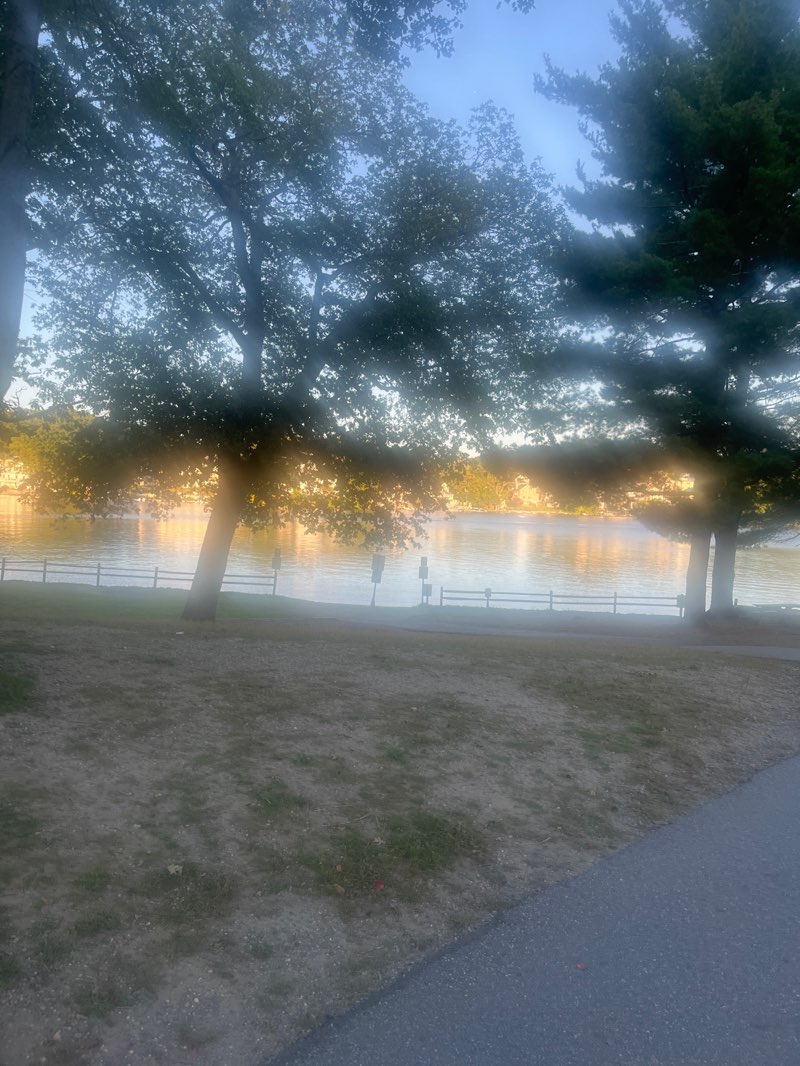 walking near me in Regatta Point Park in autumn