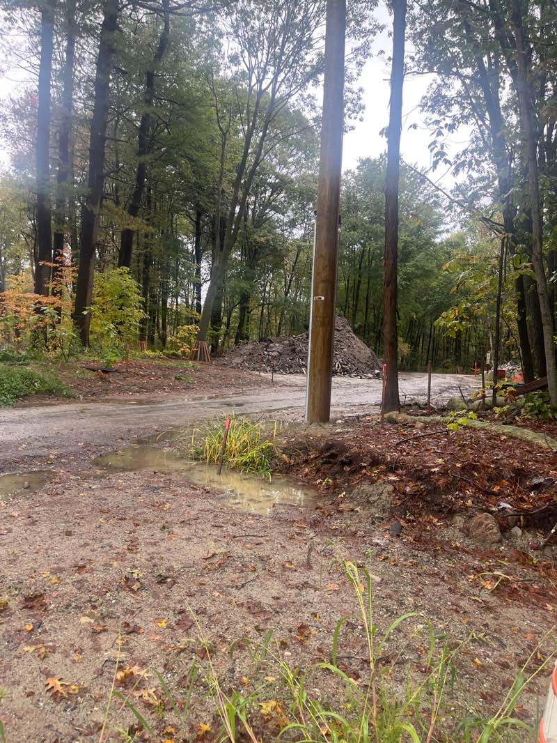 walking near me in Prospect Park in autumn