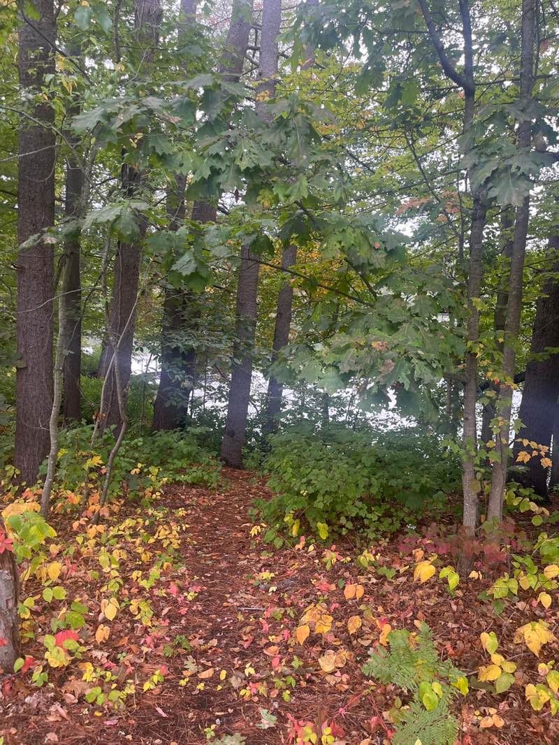 walking near me in Whitehall State Park in autumn
