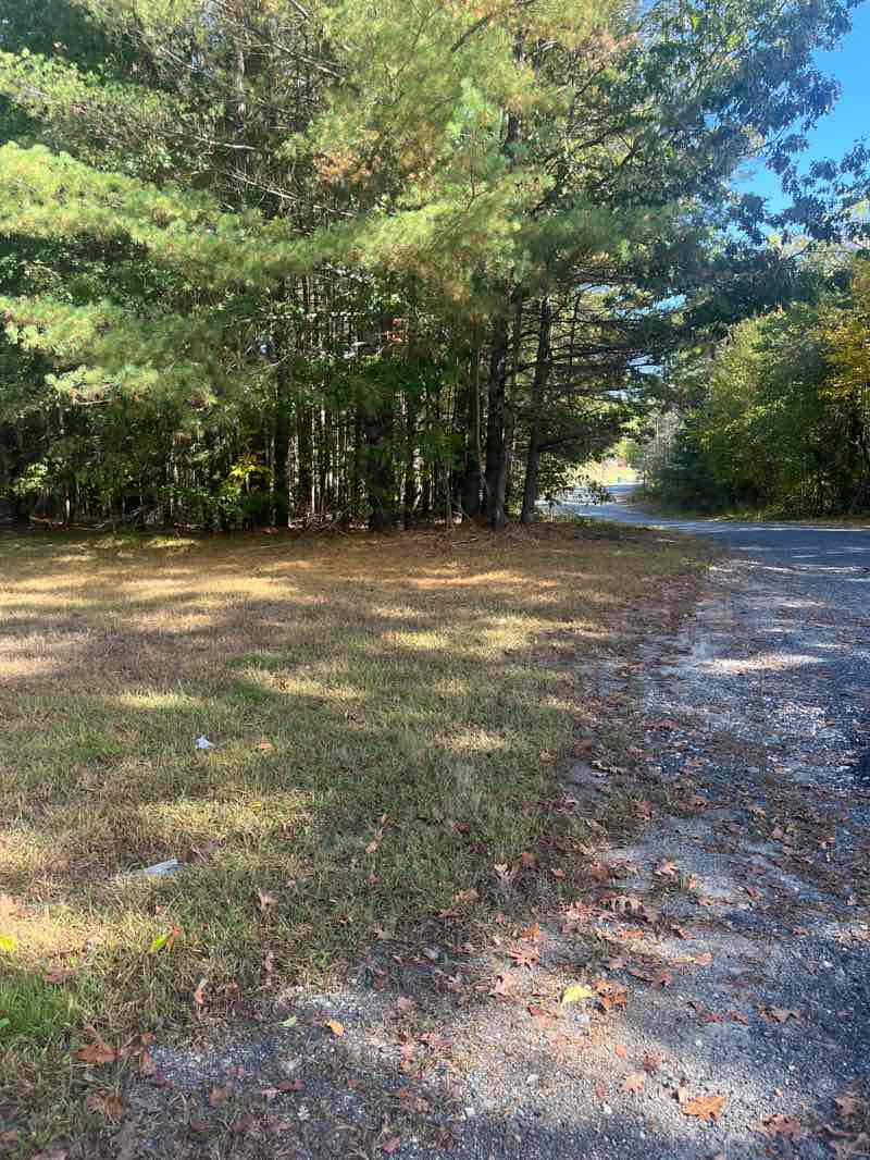 walking near me in Sawmill Field in autumn