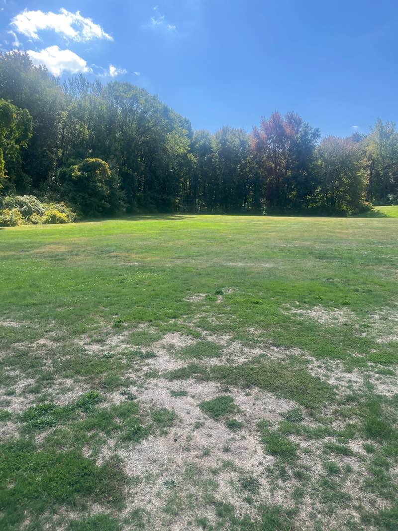 walking near me in Hillando Drive Park in autumn