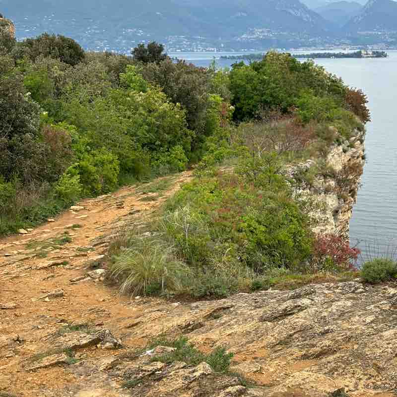 ⚡️Filem⚡️ post 2