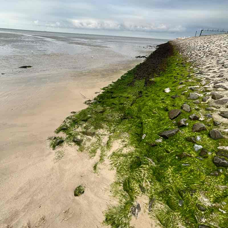 ⚡️Filem⚡️ post 2