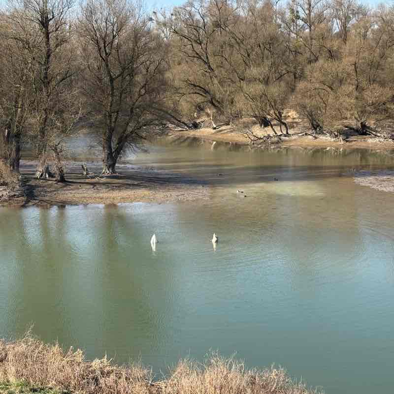 ⚡️Filem⚡️ post 3