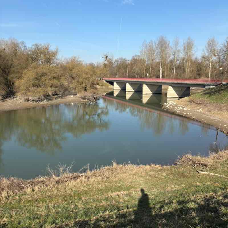 ⚡️Filem⚡️ post 2