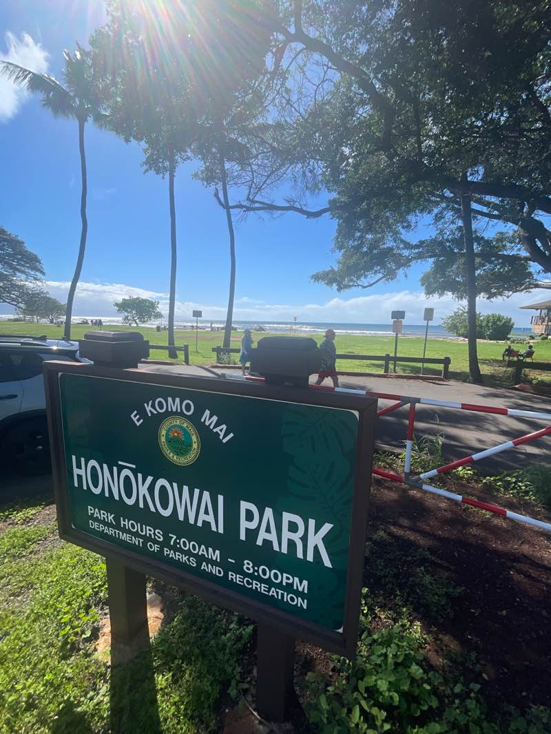 walking near me in Honokowai Beach Park in spring