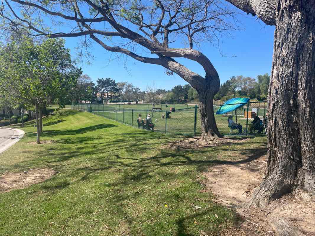walking near me in Springville Dog Park in spring