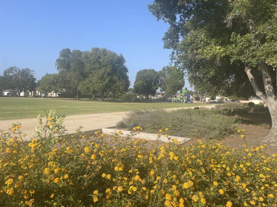 walking near me in Arneill Ranch Park in summer