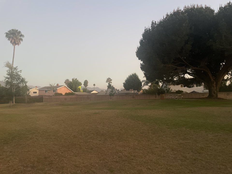 walking near me in Adolfo Park in summer
