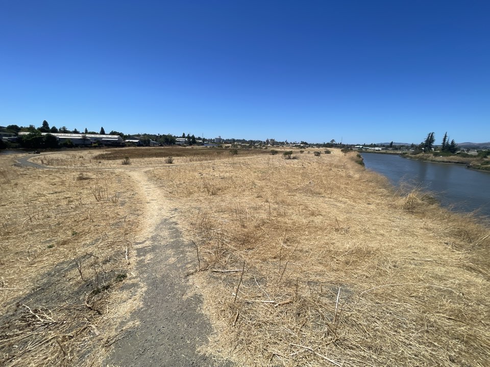 walking near me in Steamer Landing Park in summer