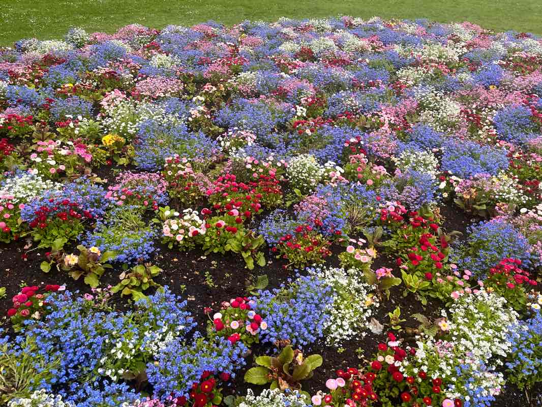 walking near me in West (Watts) Park in winter