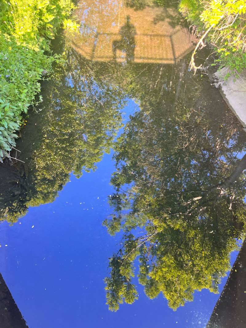 walking near me in Limbury Mead in winter