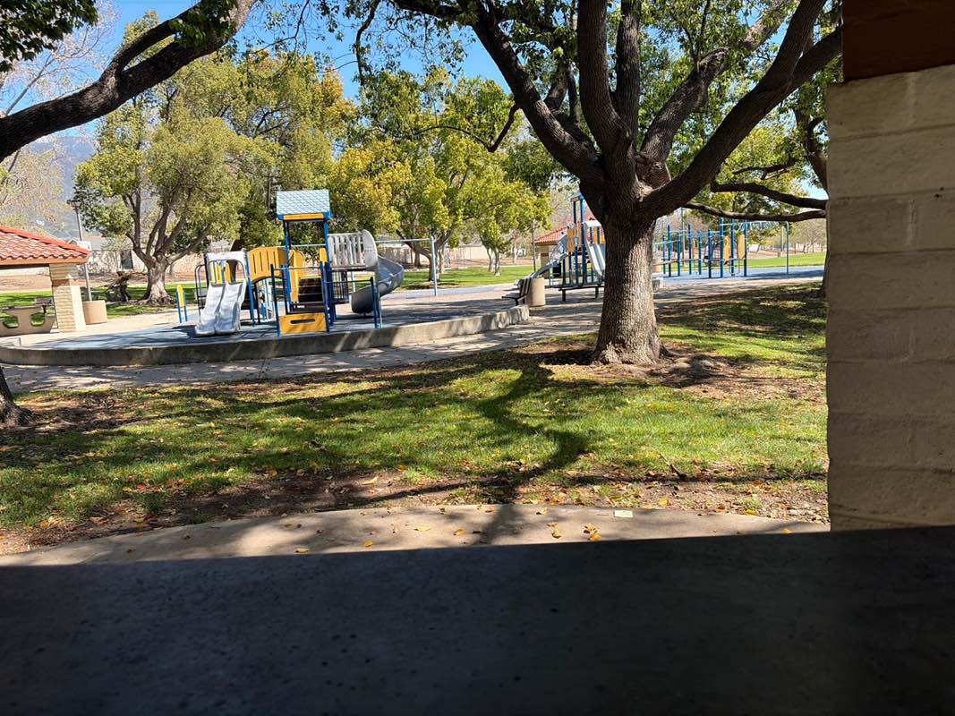 walking near me in Beryl Park West in spring