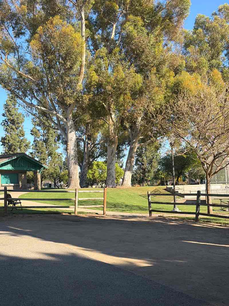 walking near me in Pioneer Park in spring