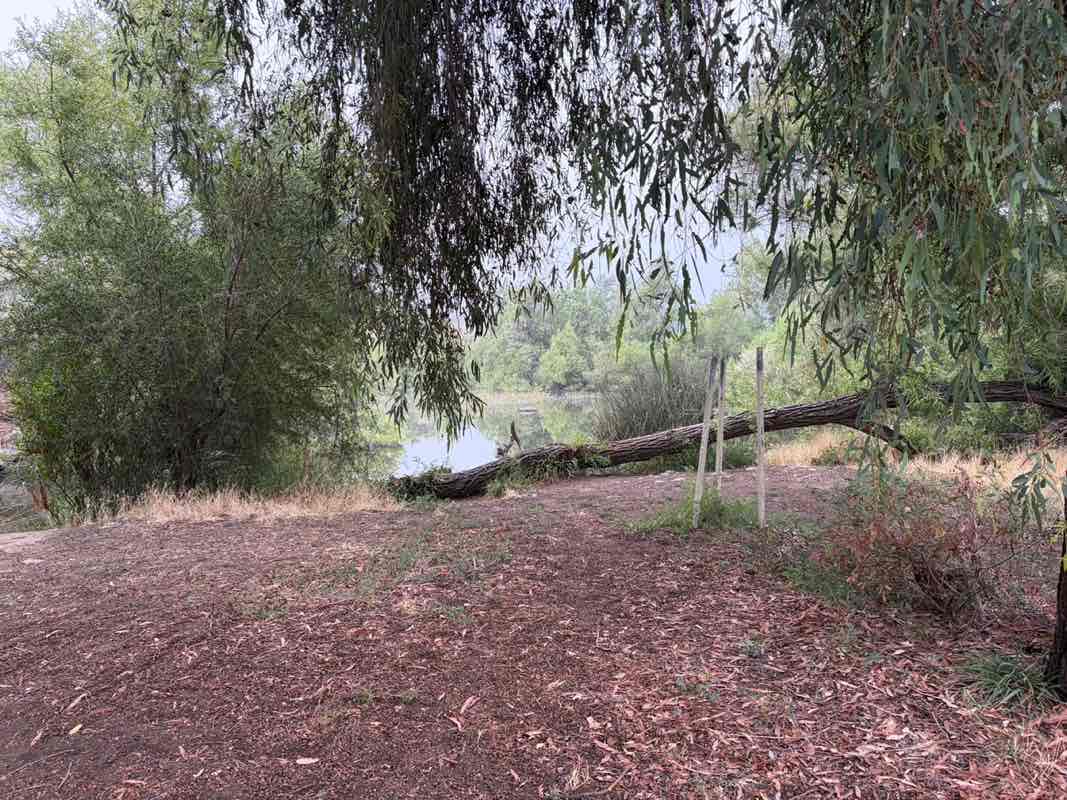 walking near me in Frank G. Bonelli Regional Park in spring