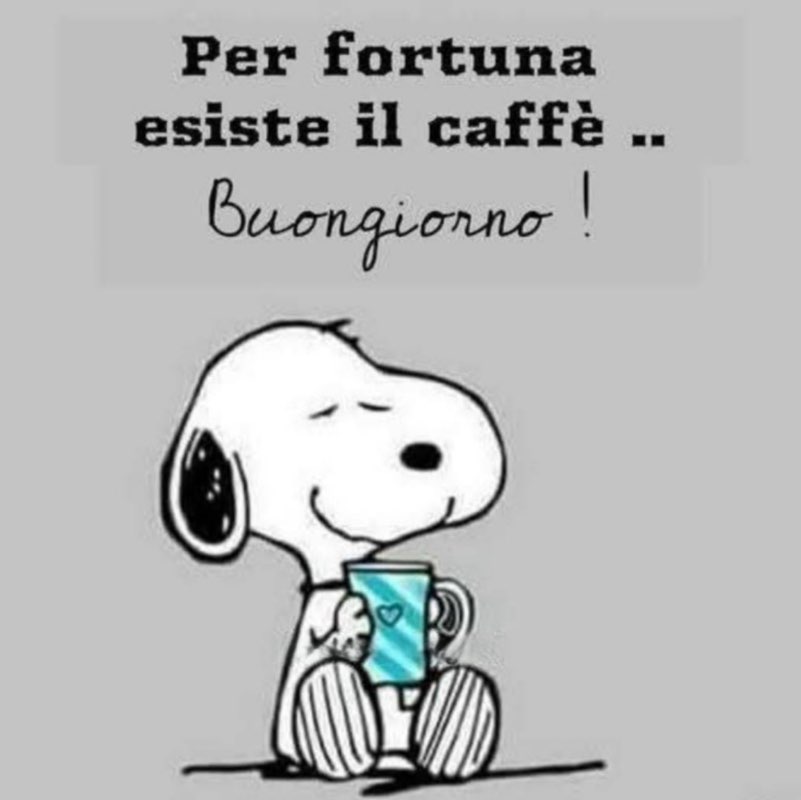 Amici miei Kurt🏃‍♂️🐝🏃🏽‍♀️🐝🐾 post image