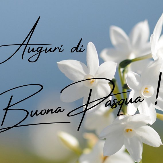 Amici miei Kurt🏃‍♂️🐝🏃🏽‍♀️🐝🐾 post image