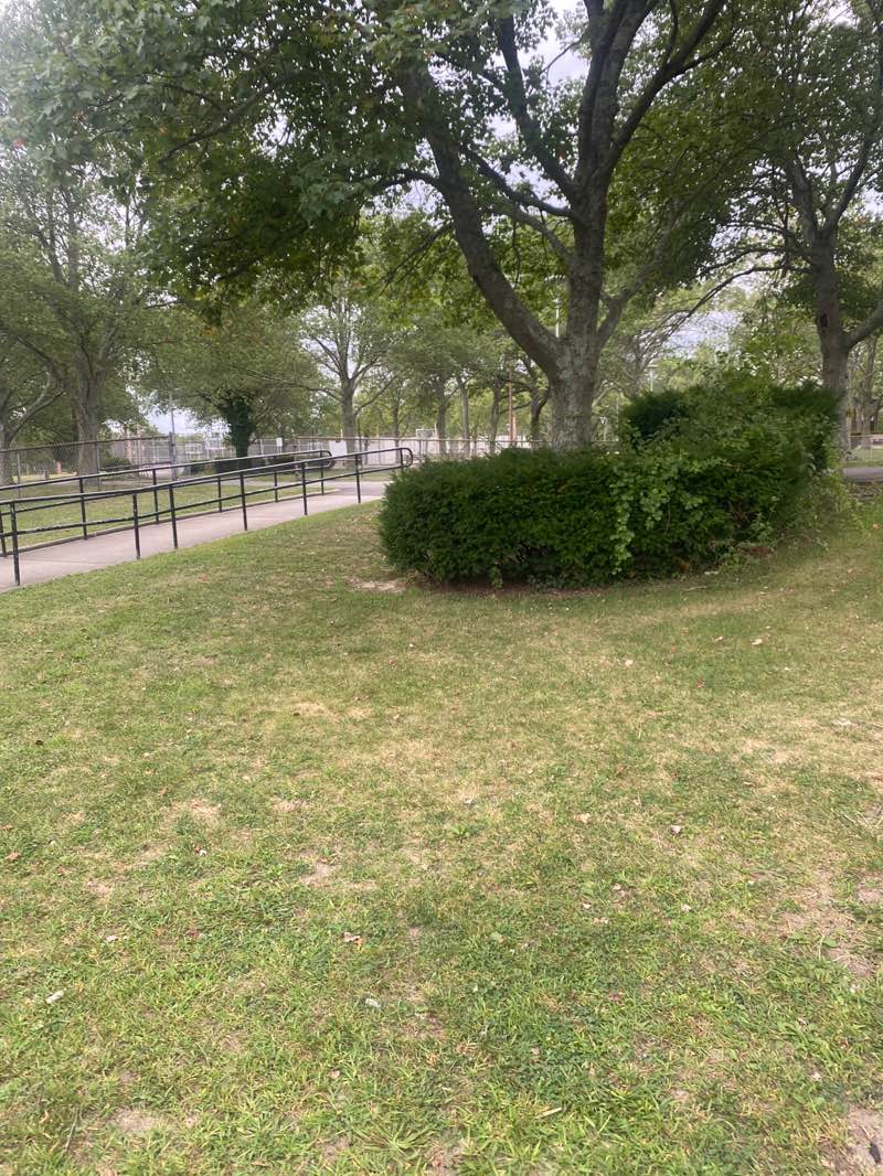 walking near me in Baldwin Park in autumn