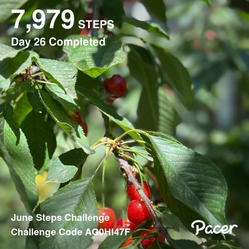 🏃🏻‍♀️mandy🏃🏻‍♀️ post 1