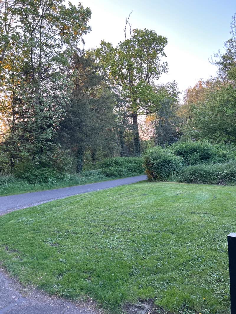 walking near me in Newbridge House and Demesne in spring