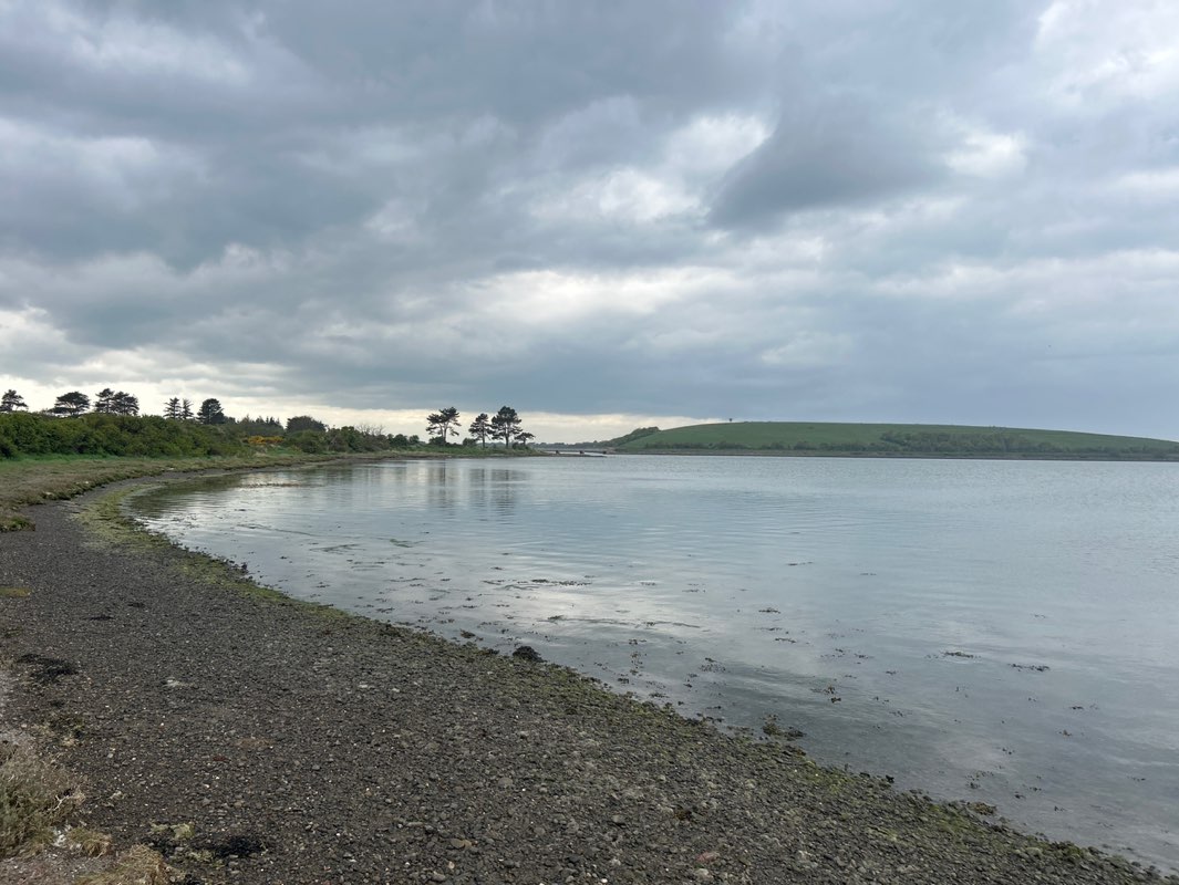 walking near me in Rogerstown Estuary Nature Reserve in spring