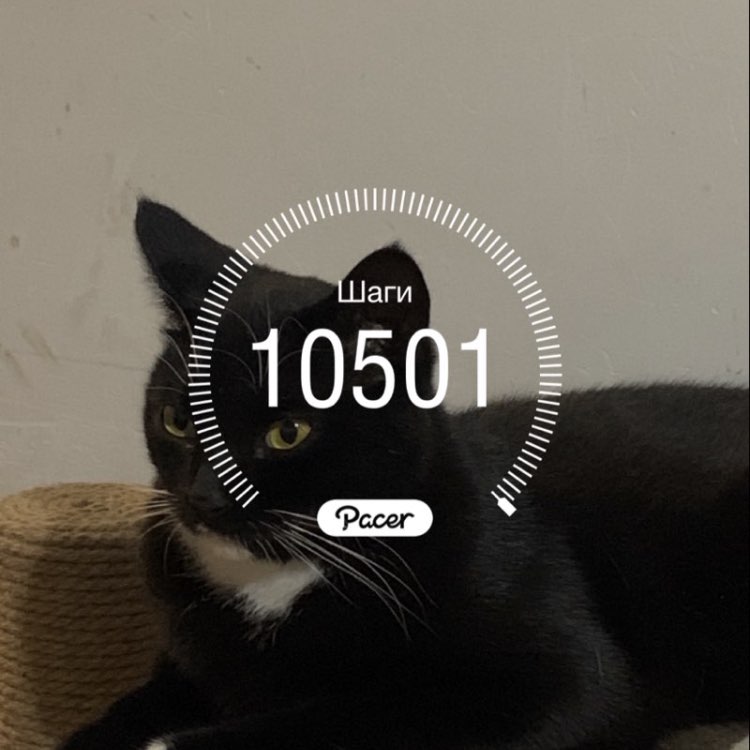 Ирина 🌺 rzn 🇷🇺 post 1