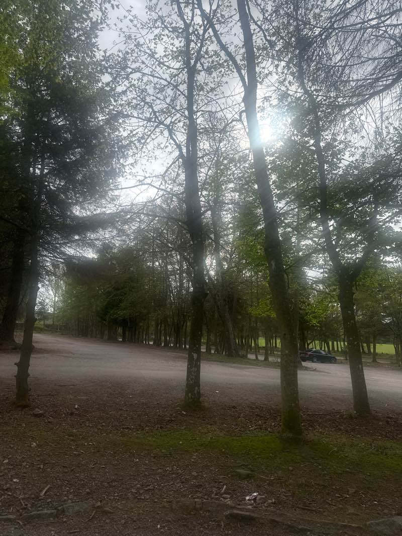 walking near me in Hazlehead Park in spring