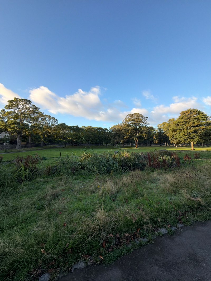 walking near me in Westburn Park in autumn