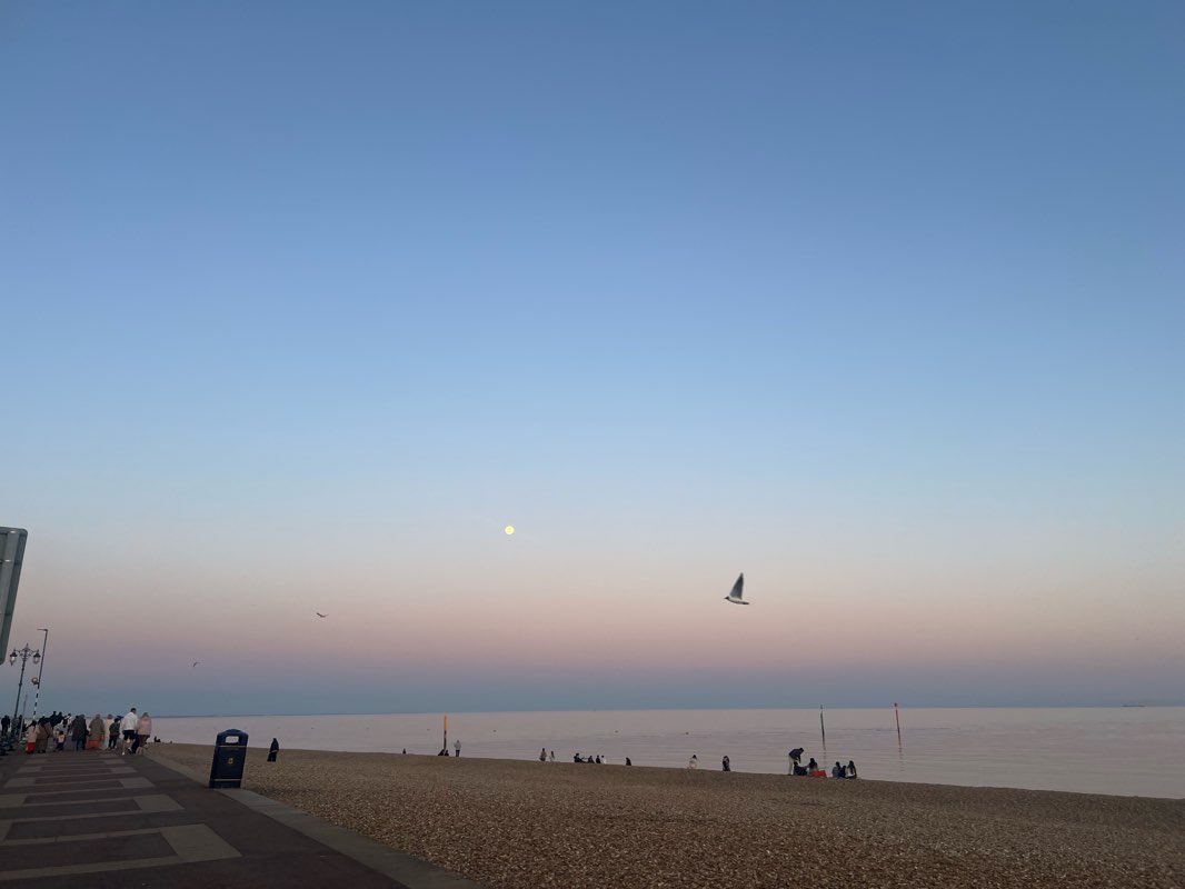 walking near me in Castle Field in spring