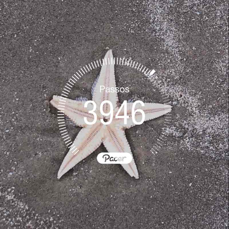 🏃🏽‍♀️Silvana 🇧🇷 post 1