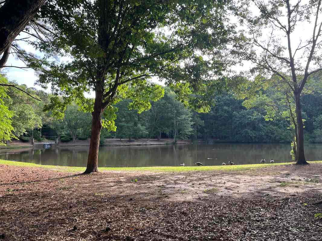 walking near me in Luther Glass Park in winter
