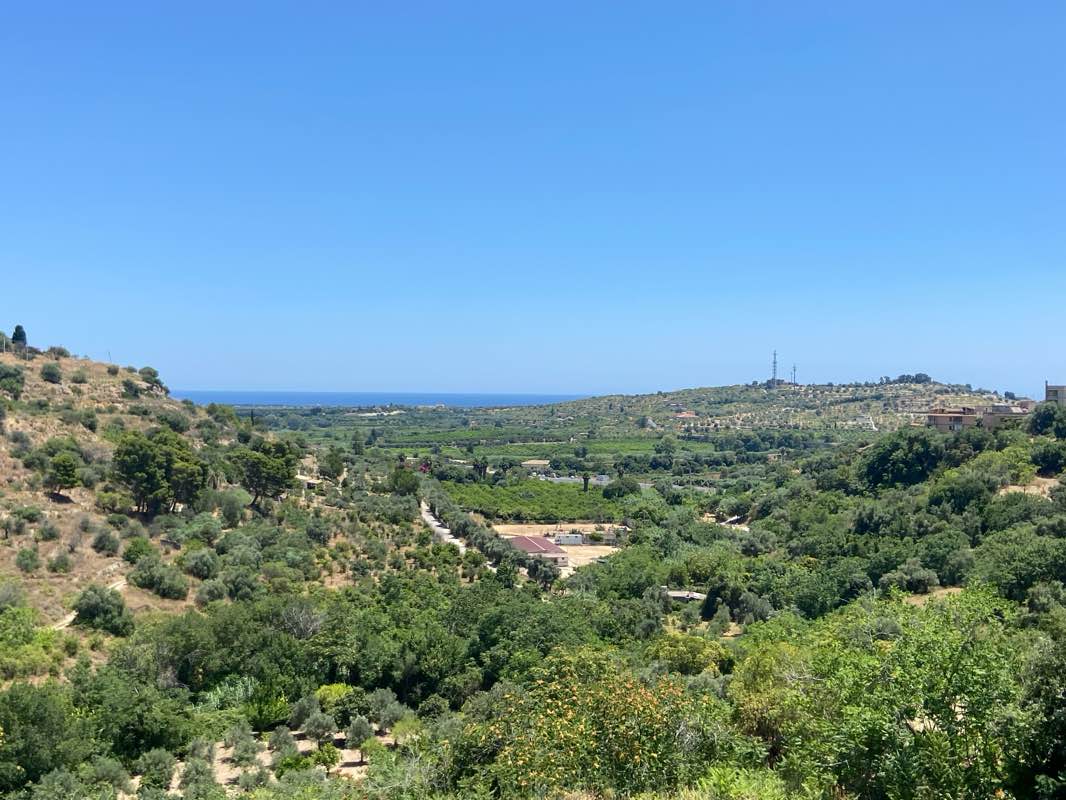 walking near me in Villa comunale in summer