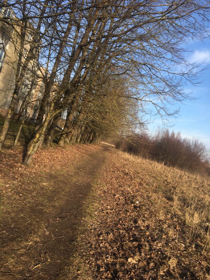 walking near me in Kartų parkas in winter