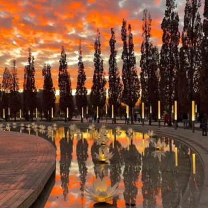 ВладиVостоК 2000🐯🎗️ Ирина 🇷🇺🐯🇷🇺 post image