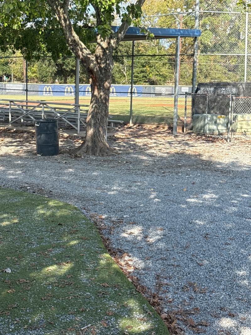 walking near me in Broadmoor Park in autumn