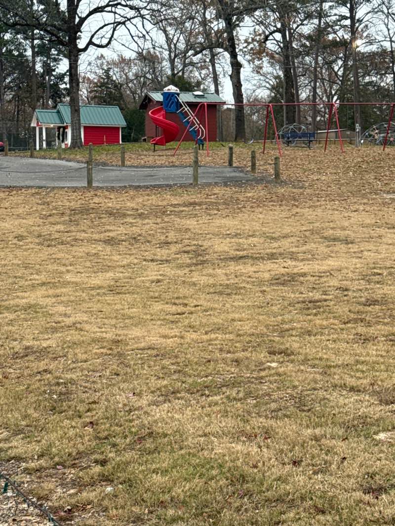 walking near me in Hugh Camp Memorial Park in winter