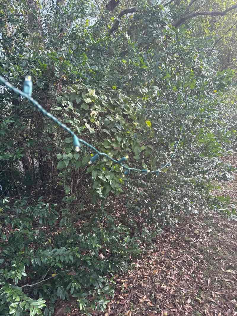 walking near me in Fern Avanue Trail in winter