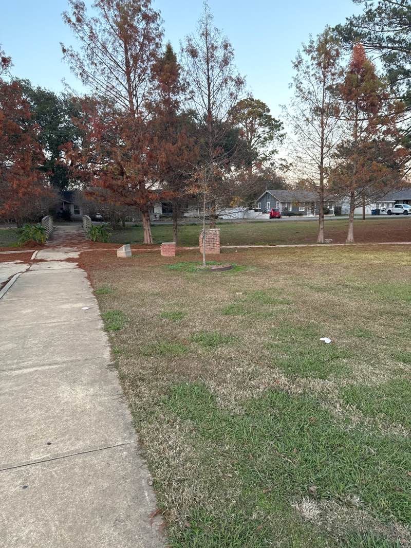 walking near me in Pierson and Mallett Park in winter