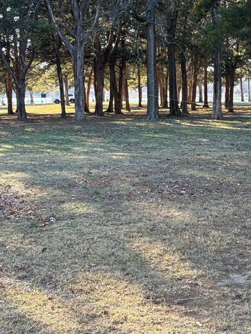 walking near me in Sandy Beach Park in winter