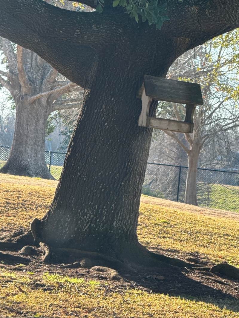 walking near me in Compton Park in winter